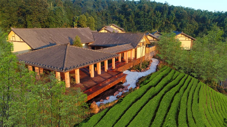 1661397388503578.jpg 圖片2.jpg